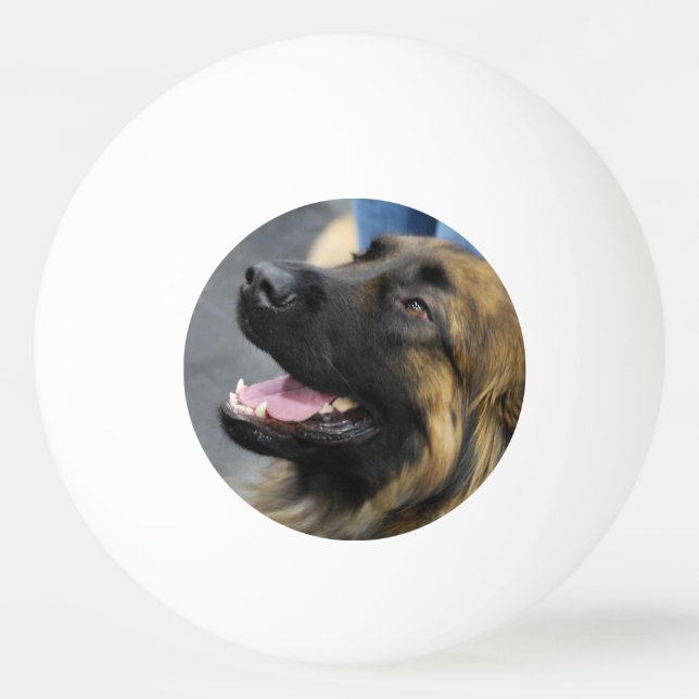 Leonberger Ping-Pong Ball (Front)
