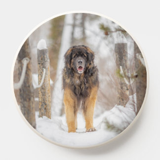 Leonberger PopSocket
