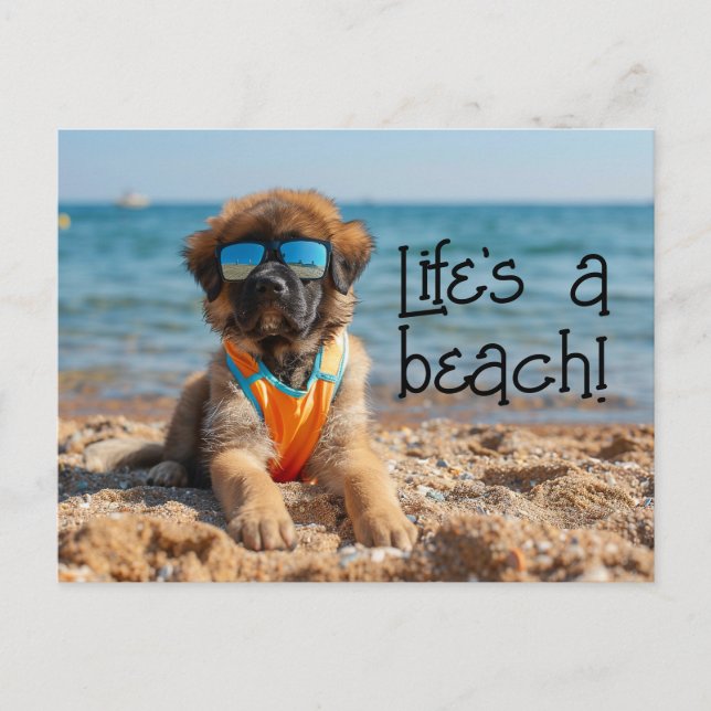 Leonberger Puppy wearing sunglasses postcard (Front)