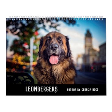 Leonbergers Calendar