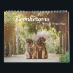 Leonbergers Calendar<br><div class="desc">Leonberger calendar,  photos by Georgia Hogg</div>