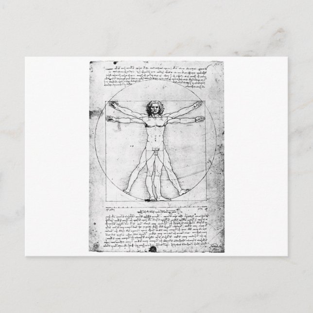 Leondardo Da Vinci Proportion Man Postcard (Front)