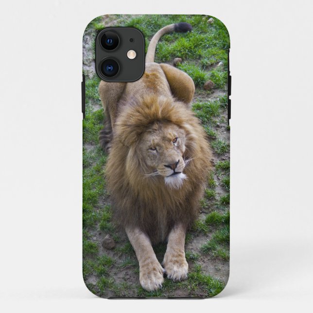Leonine iPhone 5 Case-Mate Case (Back)