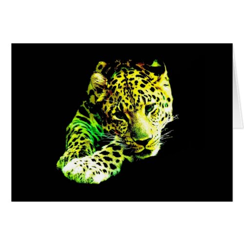 Leopard