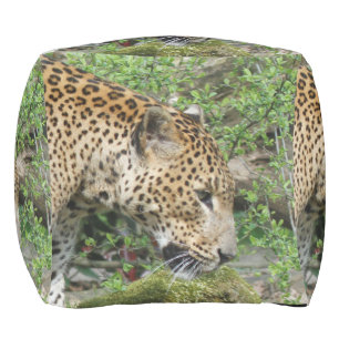 Leopard20151003 Pouf
