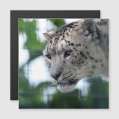 Leopard 003 (Front/Back)