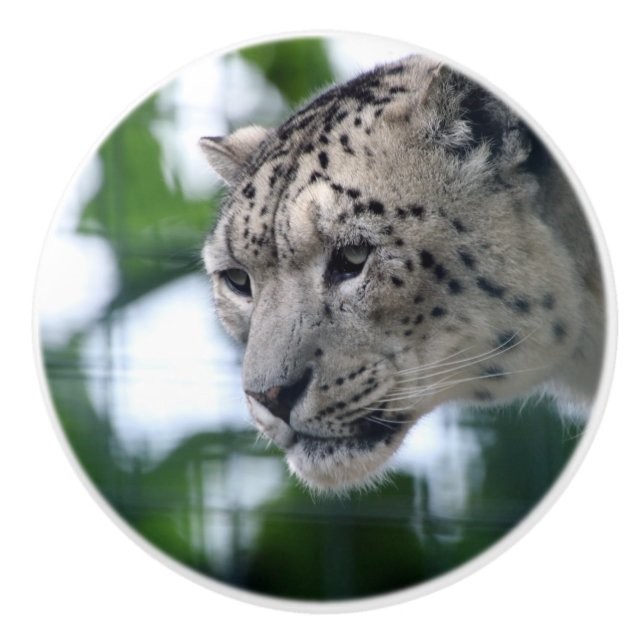 Leopard 003 ceramic knob (Front)