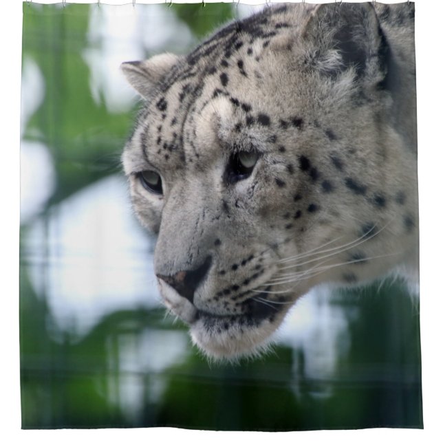 Leopard 003 shower curtain (Front)