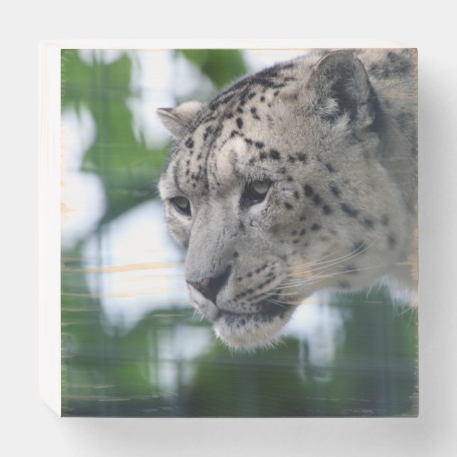 Leopard 003 wooden box sign (Front Horizontal)