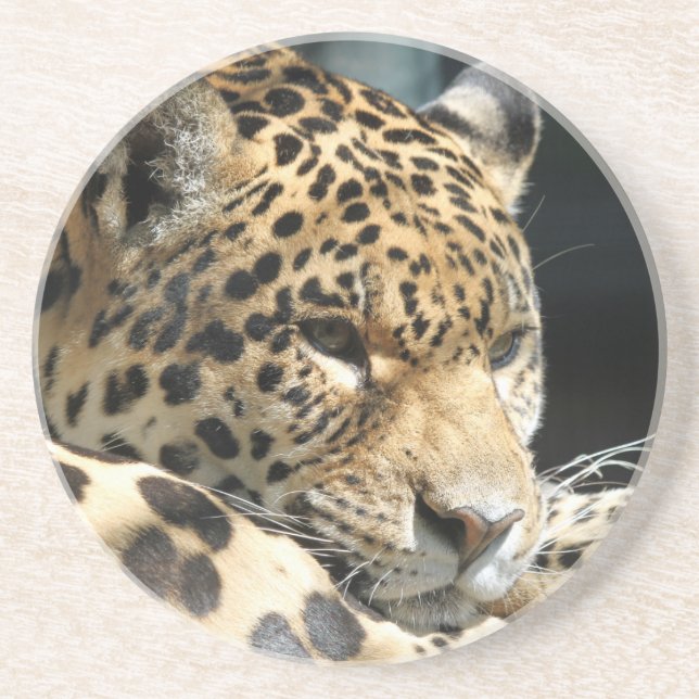 Leopard 004 drink coaster (Front)