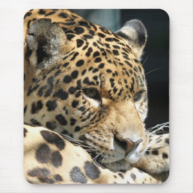 Leopard 004 mouse pad (Front)