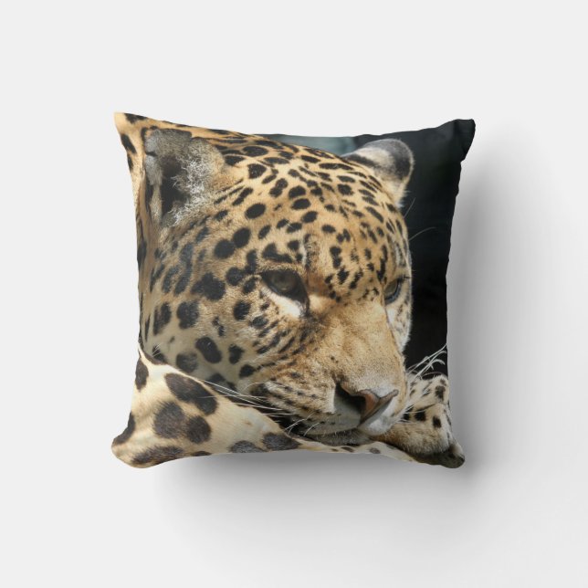 Leopard 004 throw pillow (Front)