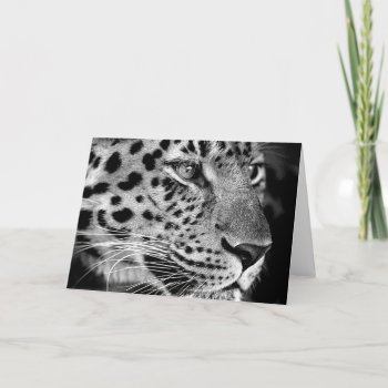 Leopard #1-greeting Card by rgkphoto at Zazzle