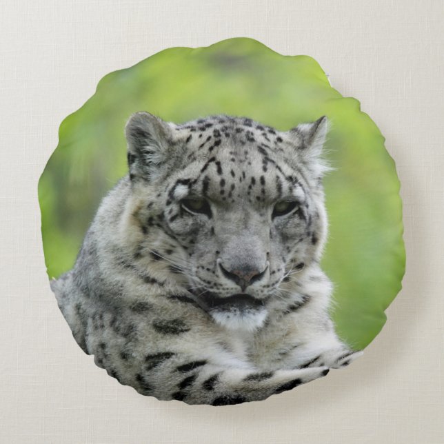 Leopard_2015_0310 Round Pillow (Back)