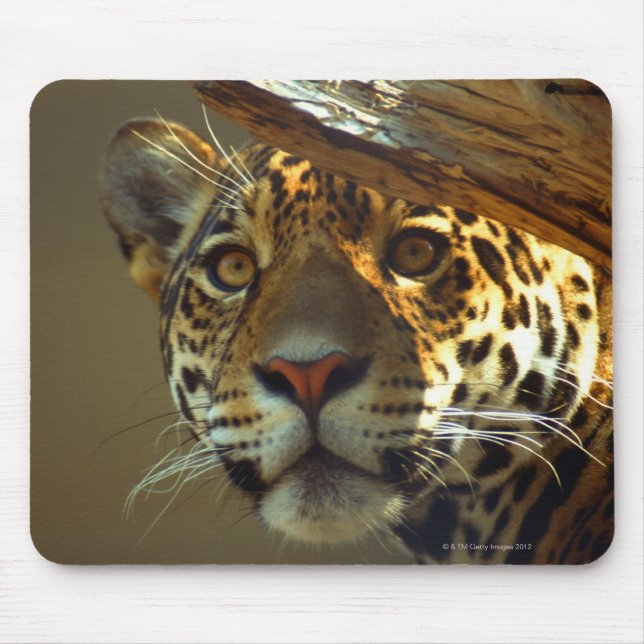 leopard 2 mouse pad (Front)