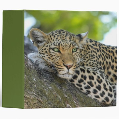 Leopard 3 Ring Binder