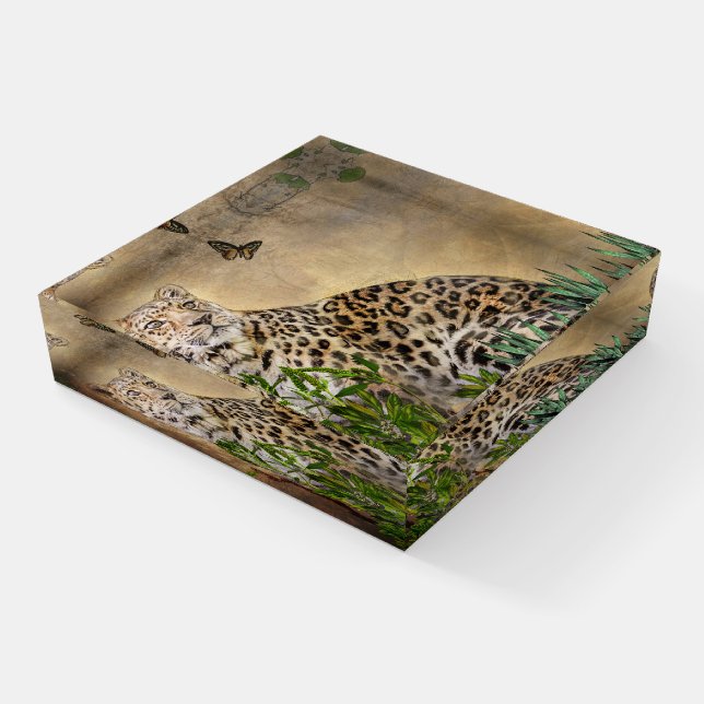 Leopard and Butterfly Wildlife square Paperweight (Angled)