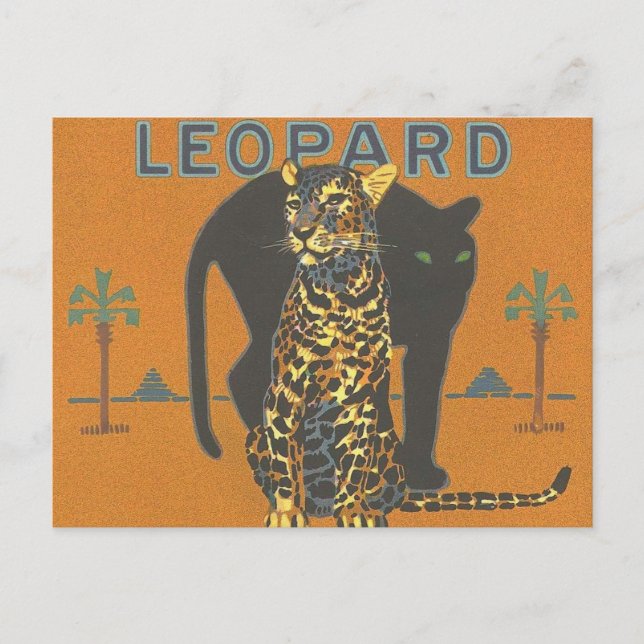 Leopard and Panther Postcard (Front)