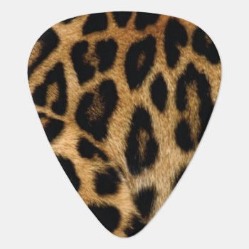 Leopard Animal Print Guitar Pick Plectrum by GroverAllmanPicks at Zazzle