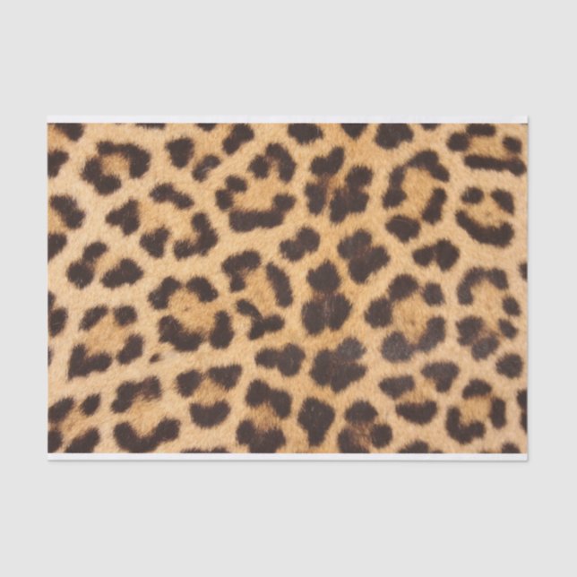 Leopard Animal Skin Print Tissue Paper (Front)