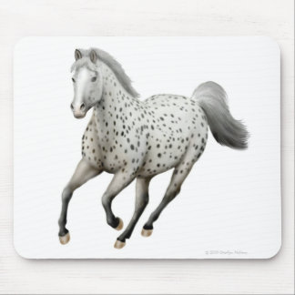 Leopard Appaloosa Horse Mousepad