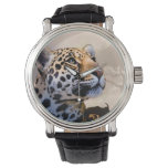 Leopard Art 1 Watch &amp; Numeral Options at Zazzle