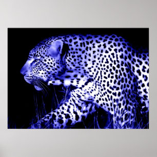 Leopard at Blue Night Poster Pop Art Wild Animals