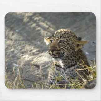 Leopard Baby Mouse Pad