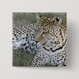 Leopard badge button