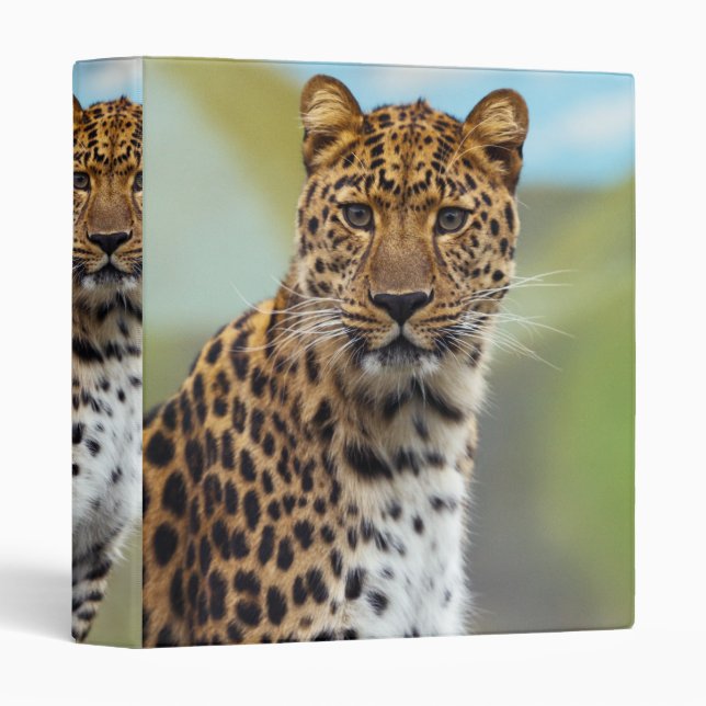 Leopard Binder (Front/Spine)