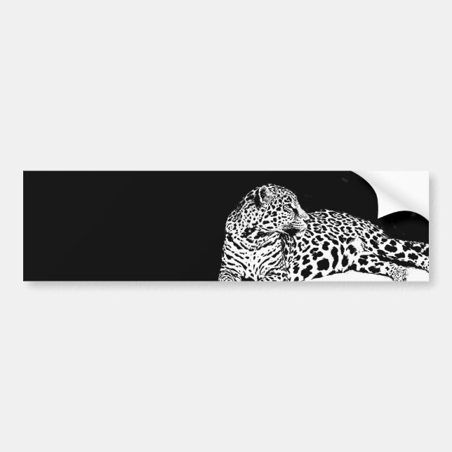 Leopard Bumper Sticker (Front)