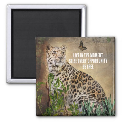 Leopard Butterfly Photo LIve in The Moment Quote Magnet