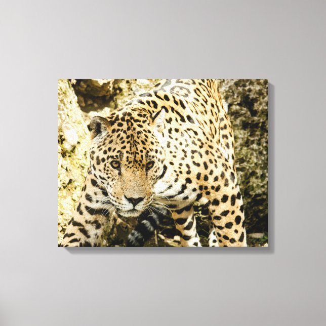 Leopard Canvas Print (Front)