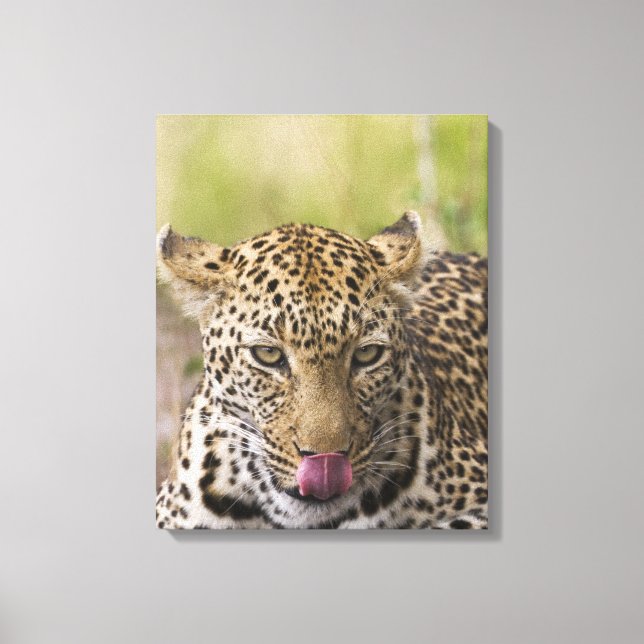 Leopard Canvas Print (Front)