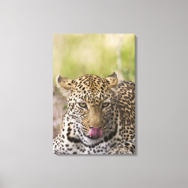 Leopard Canvas Print (Front)