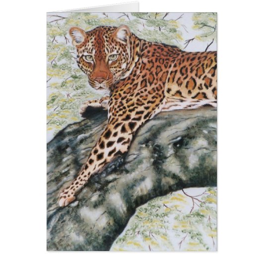 "Leopard" Cards (Front)