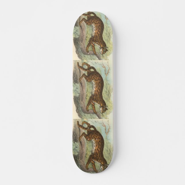 Leopard-Cat, Felis bengalensis Skateboard Deck (Front)
