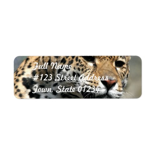 Leopard Cat Mailing Labels