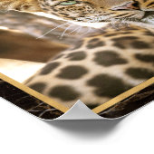 Leopard Cat Photo Image Print Poster (Corner)