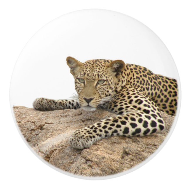 Leopard Ceramic Knob, right (Pull for Cabinet) Ceramic Knob (Front)