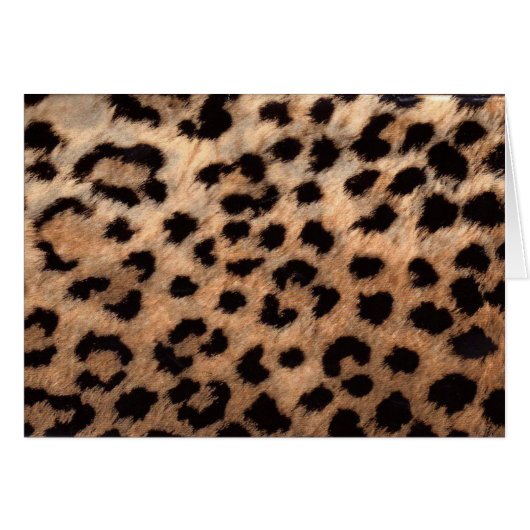 Leopard Cheetah Animal Print Girly Modern Trendy Cards (Front Horizontal)