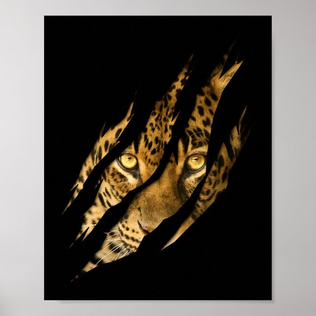 Leopard Cheetah Tiger Leopard Face Lion Cat Appare Poster (Front)
