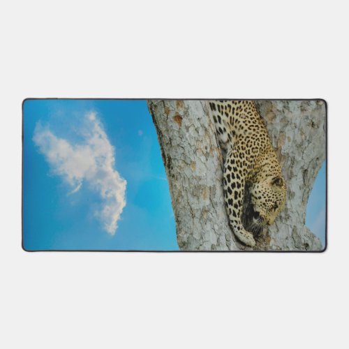 Leopard Climbing Down Tree Desk Mat