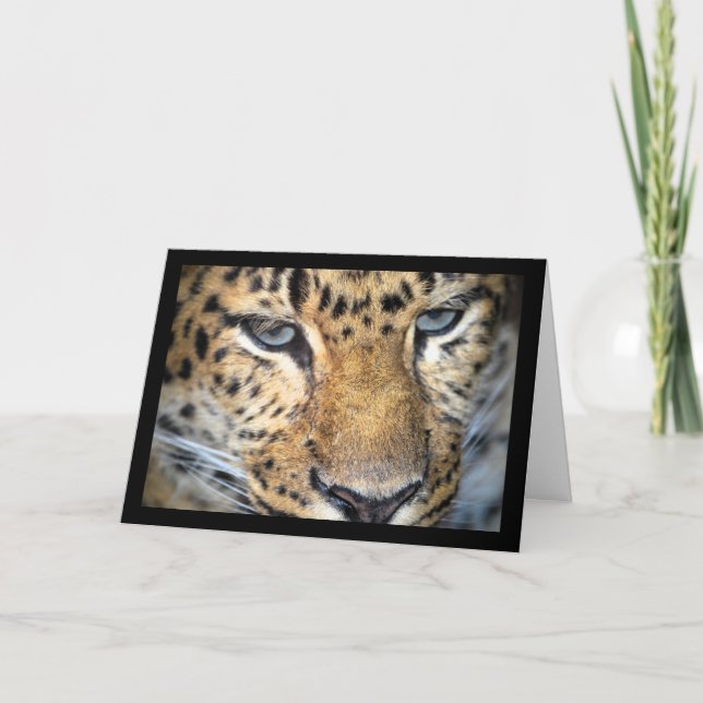 Leopard Close Up Card (Front)