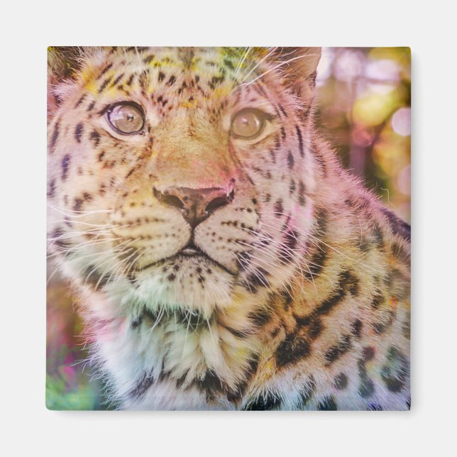Leopard Close Up Photograph Magnet (Front)