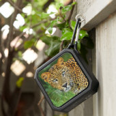 Leopard Closeup Face Photo Bluetooth Speaker (Inisitu)