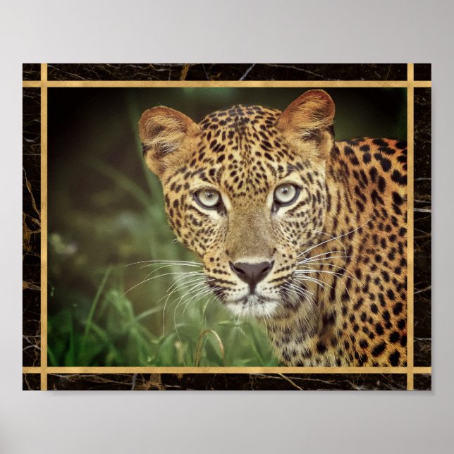 Leopard Closeup Face Photo Image Print Poster (Front)