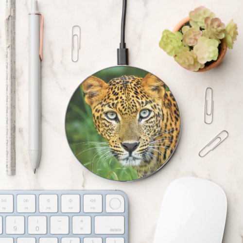Leopard Closeup Photo Wireless Charger