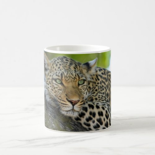 Leopard Coffee Mug