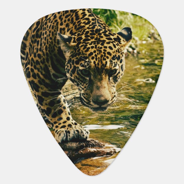 Leopard Crossing a Stream Photograph Guitar Pick (Front)
